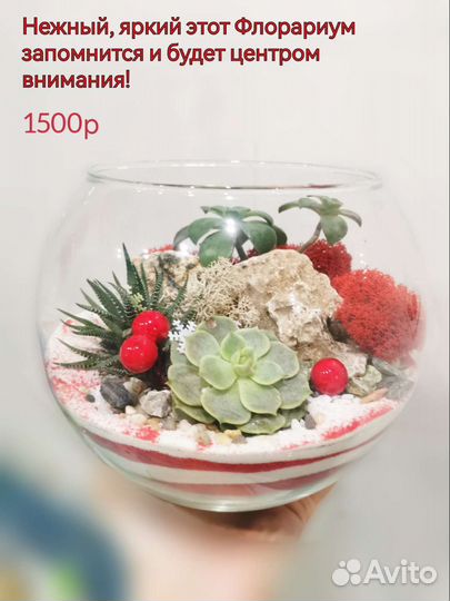 Подарок. Бюджетнофлорики
