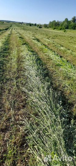 Продам сено в рулонах