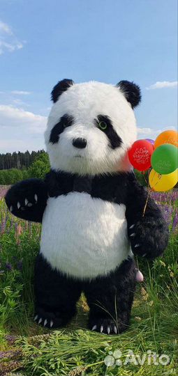 Поздравление - Панда на праздник