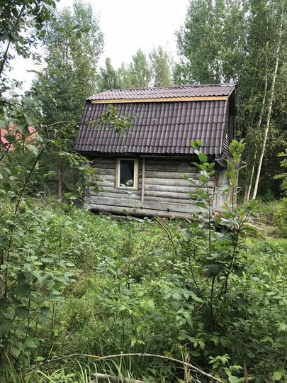 Участок 6 сот. (СНТ, ДНП)