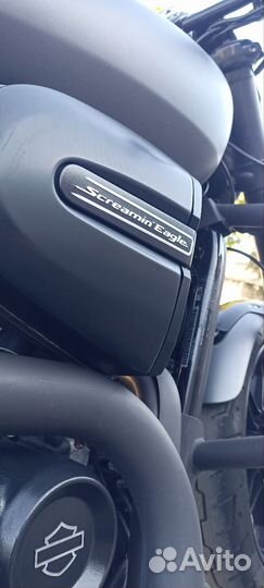 Harley Davidson street rod