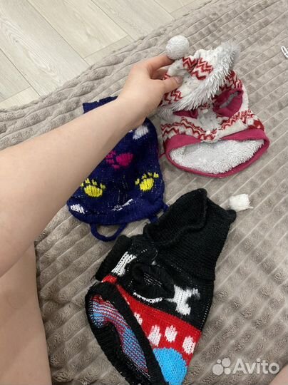 Вещи для кошек и собак