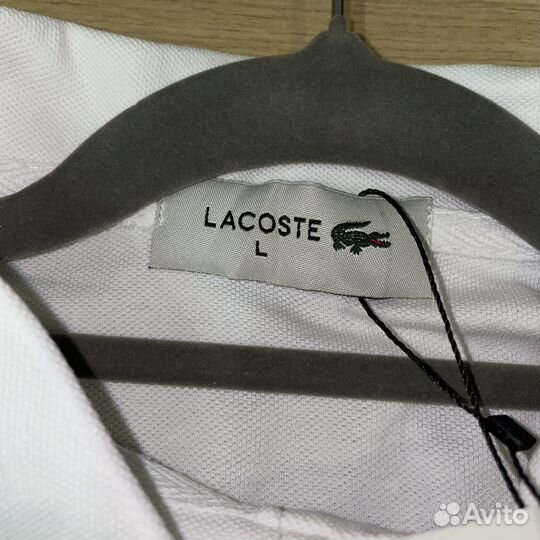 Летний мужской костюм Lacoste