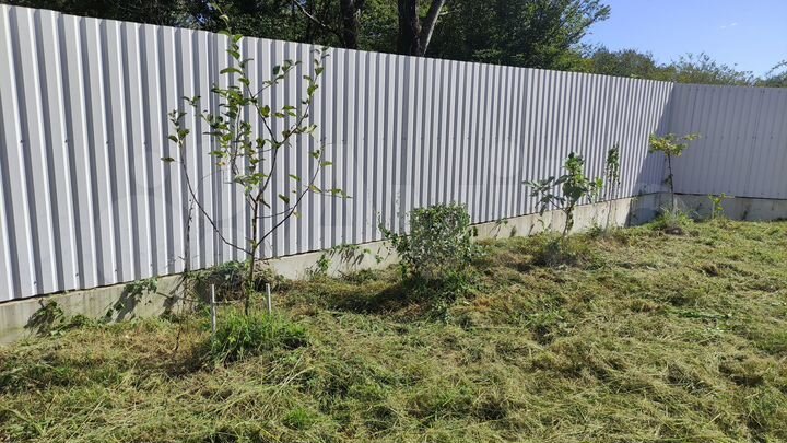 Участок 6,1 сот. (СНТ, ДНП)