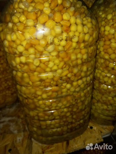 Кукуруза браженная