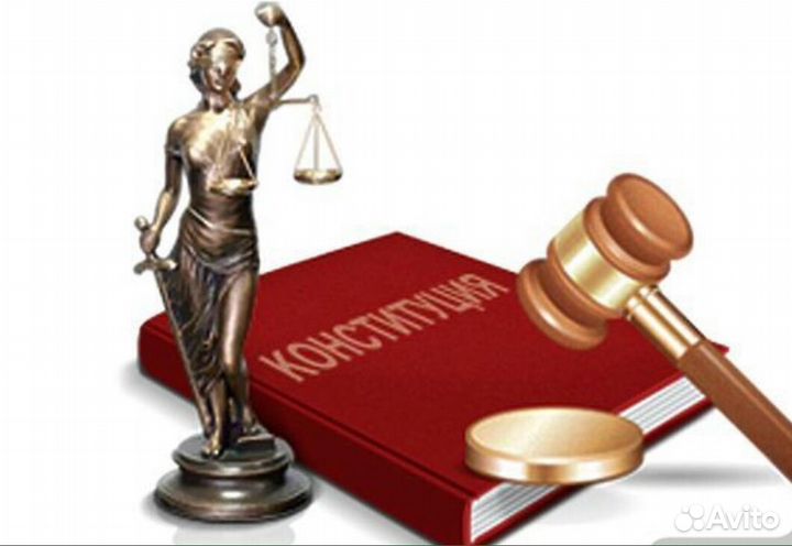 Профессиональный Адвокат. Опыт практической работы