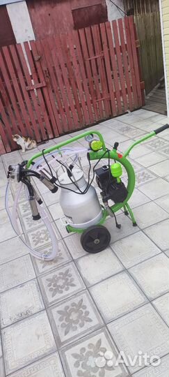 Доильный аппарат для коров бу