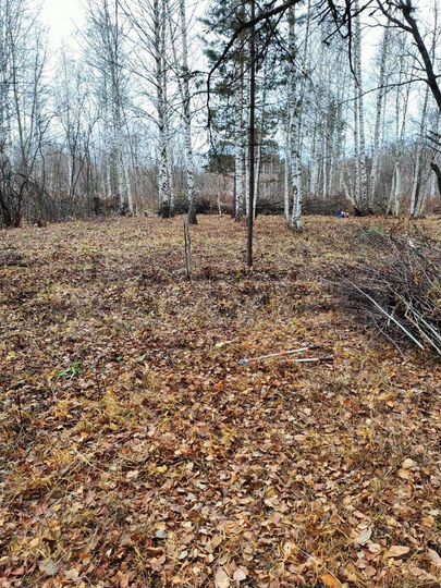 Участок 10 сот. (ИЖС)