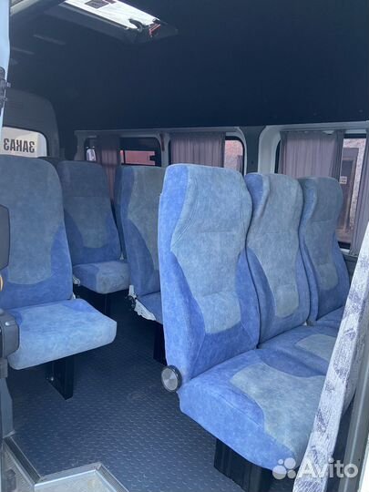Автобус на заказ