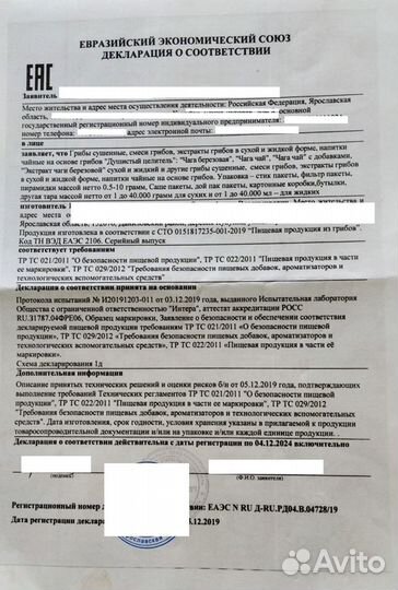 Чага березовая