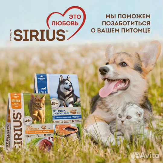 Корма для животных monge gemon royal Карми Сириус