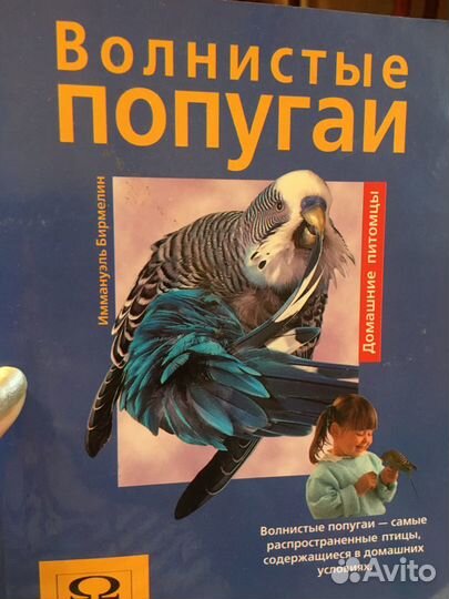 Книга волнистые попугай