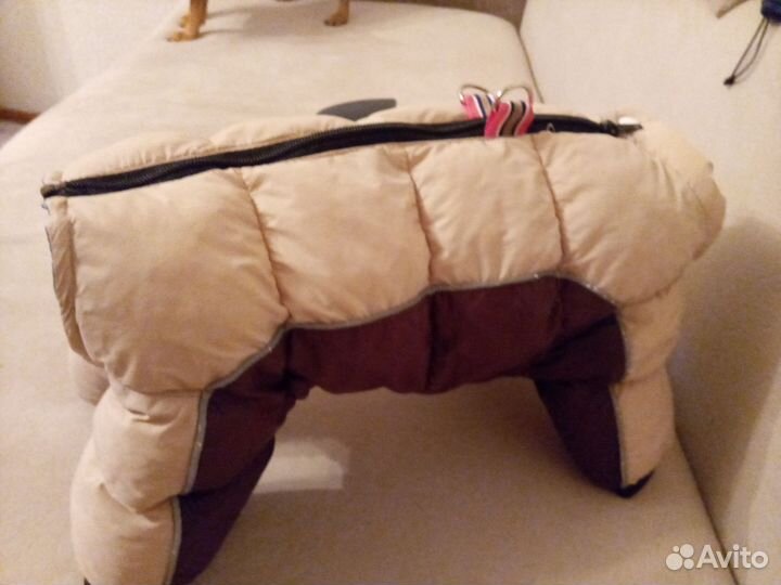 Одежда для средних собак