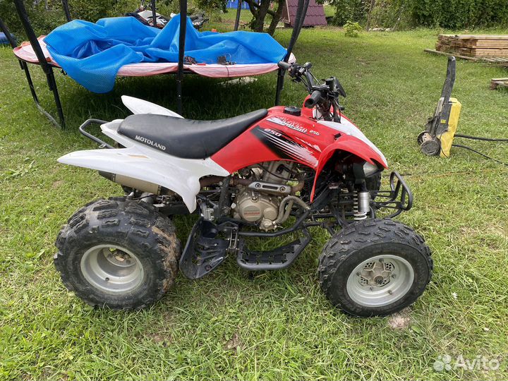 Motoland 250s