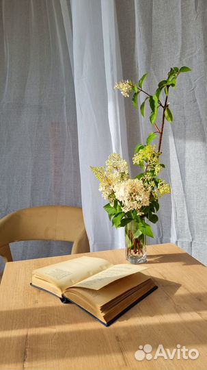 Фотостудия в аренду