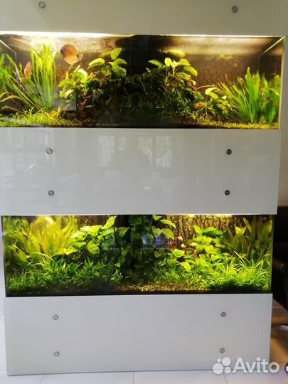 Морской аквариум, пресный аквариум -сервис,услуги