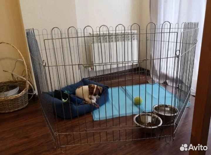 Вольер для собак