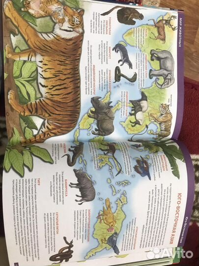 Энциклопедия для детей