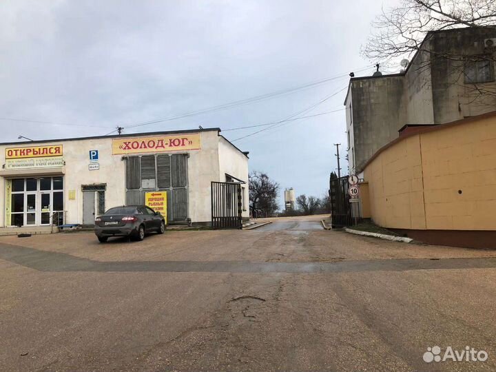 Скумбрия мороженная