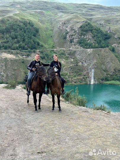Конные прогулки в Приэльбрусье