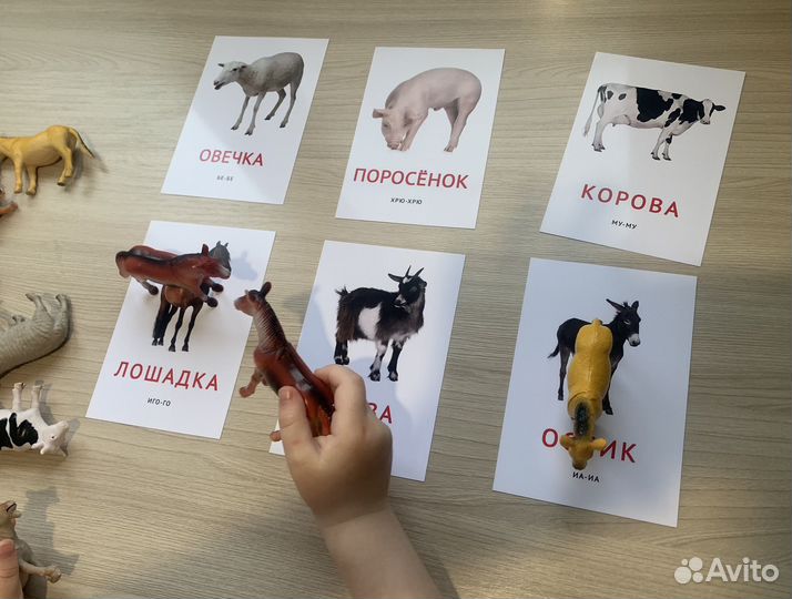 Карточки домана овощи, фрукты, животные