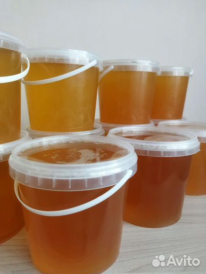 Майский мёд 2023