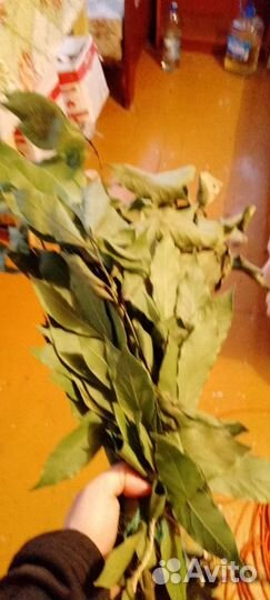 Лавровые веники, лаврушка, лавр