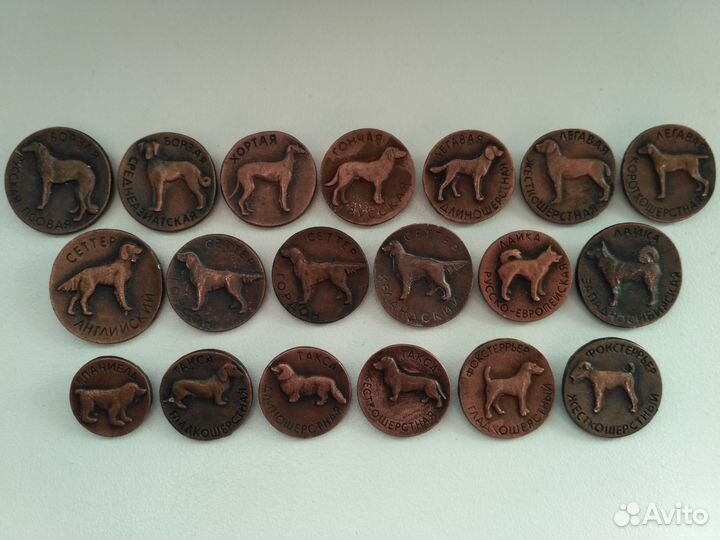 Зоопарк, животные, птицы, собаки и другое