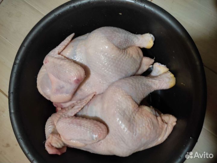 Мясо утки, мясо Цыплят бройлеров