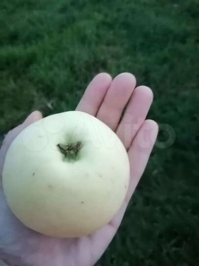 Участок 6 сот. (ИЖС)