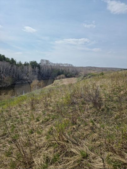 Участок 14 сот. (ИЖС)