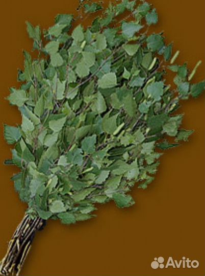 Березовые веники