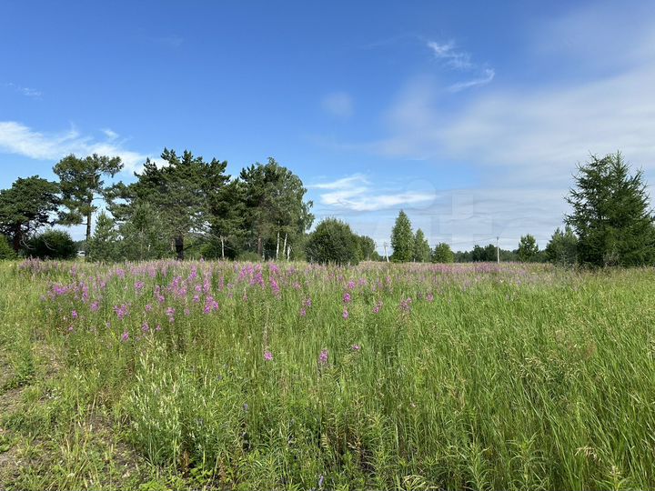 Участок 10 сот. (СНТ, ДНП)