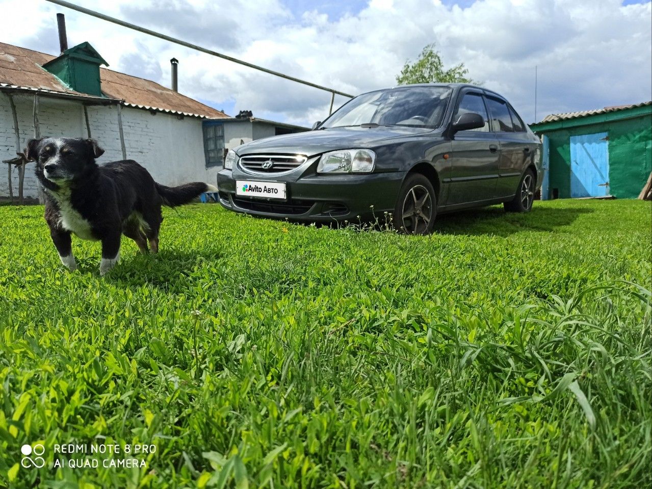 Hyundai Accent: фото владельца