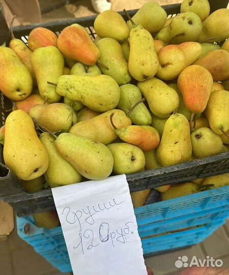 Груши