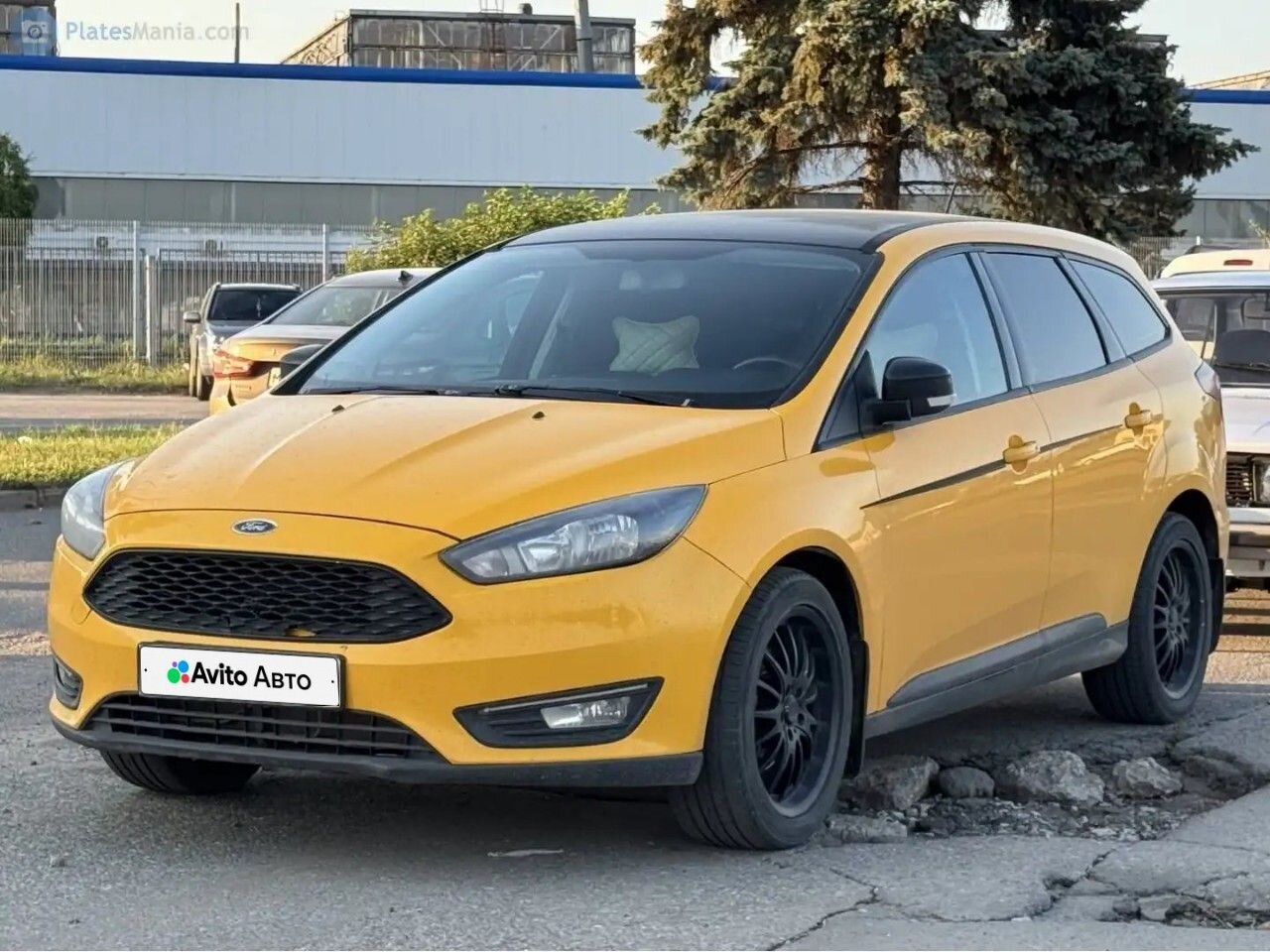 Ford Focus: фото владельца