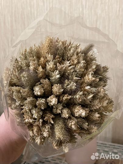 Букет сухоцветов 