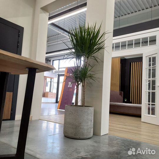 Вазоны. Кашпо. Горшки для цветов