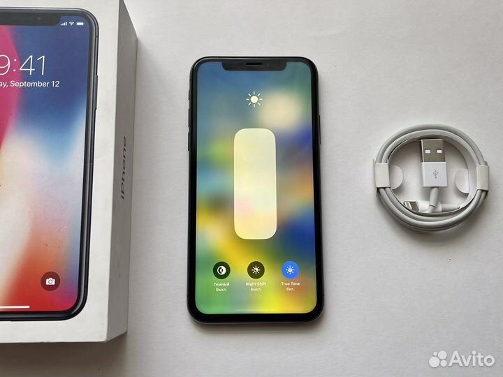 iPhone X (256 gb)