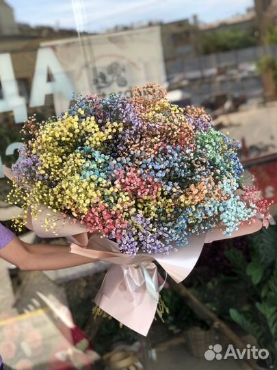 Гипсофила 51 шт