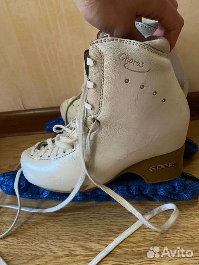 Коньки для фигурного катания edea chorus 230С