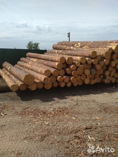 Лес кругляк / Дрова