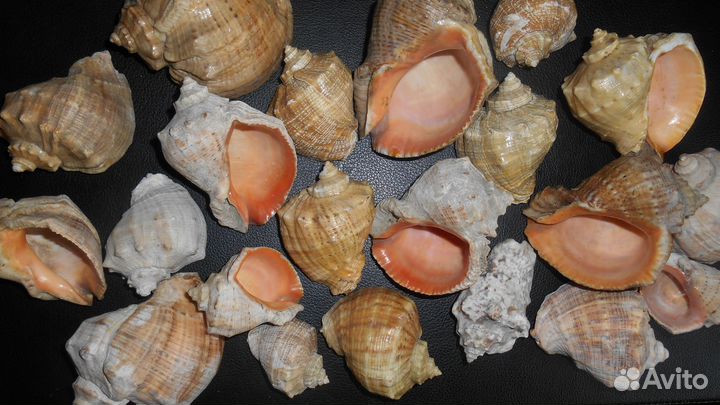 Аксессуары для аквариума