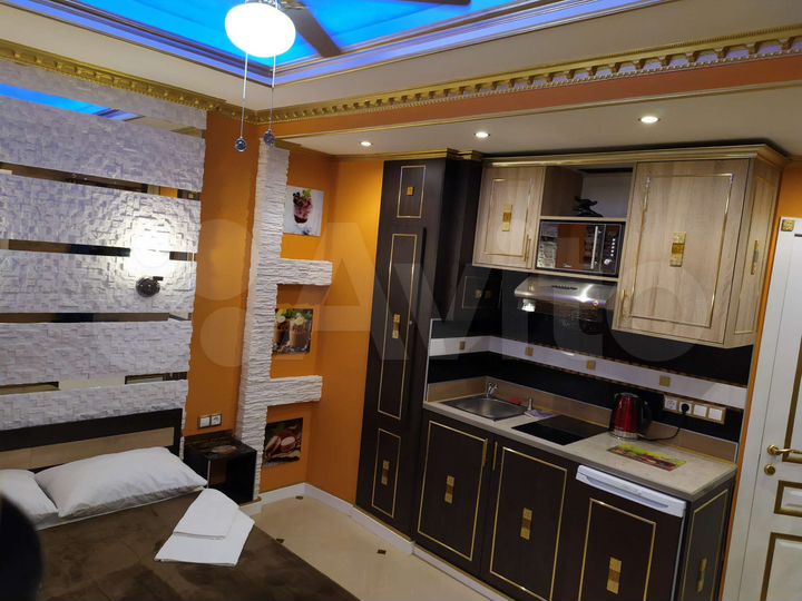 Квартира-студия, 25 м², 22/22 эт.