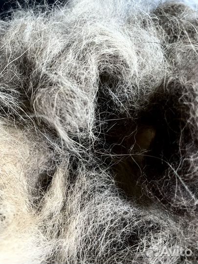 Собачья шерсть вычес немецкая овчарка