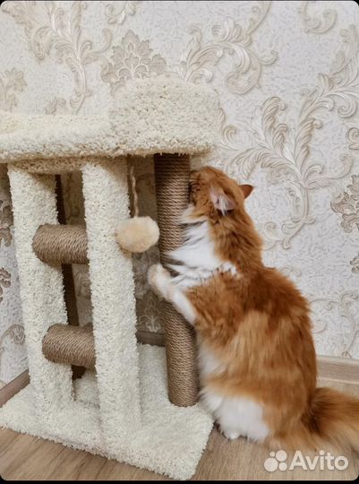 Изготовление когтеточек и домиков для животных