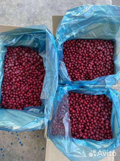 Вишня (заморозка)