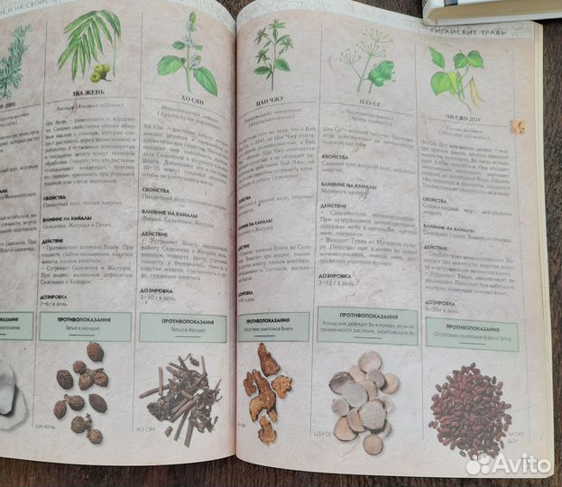 Традиционная китайская медицина