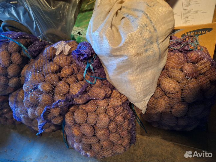 Продукты питания:картофель,свекла,морковь,капуста