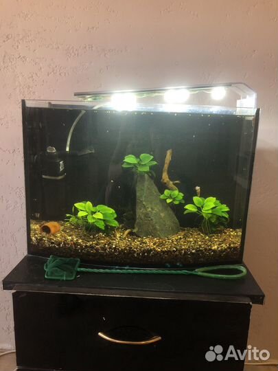 Аквариум 35 литров
